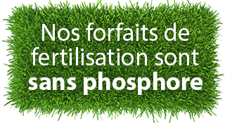 bouton-fertilisation-sans-phosphore