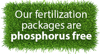 phosphorus-free-fertilization-button