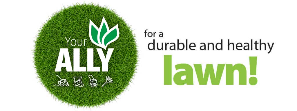 your-ally-for-a-durable-and-healthy-lawn