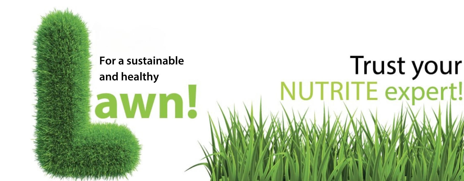 evaluation-gratuite-en